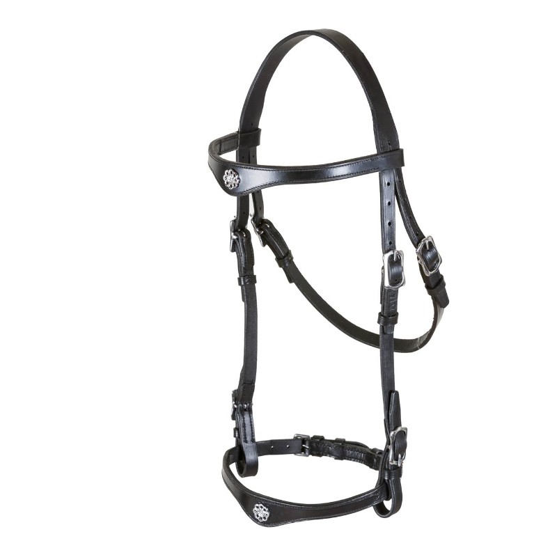 Zaum Lusitania, gepolstert, mit Zügeln