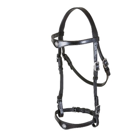 Zaum Lusitania, gepolstert, mit Zügeln